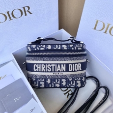 Christian Dior Cosmetic Bags